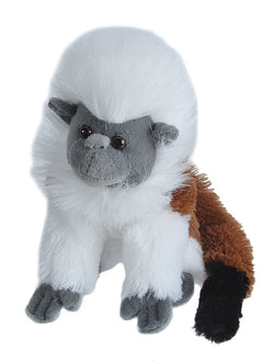 Cotton-Top Tamarin Stuffed Animal - 8"
