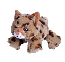 Bobcat Stuffed Animal - 7"