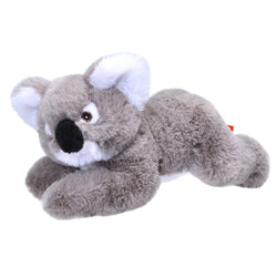 Koala Ecokins Mini -8"